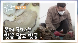 [선공개] 광양에 찾아온 맛있는 '봄' 씹을수록 전해지는 깊은 풍미의 벚굴 | 고두심이 좋아서 3회