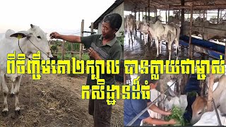 ផ្តើមពីការចិញ្ចឹមគោតែ២ក្បាល លោកឡេក គឹមហួរ បានក្លាយជាម្ចាស់កសិដ្ឋានដ៏ធំនៅខេត្តកំពង់ធំ