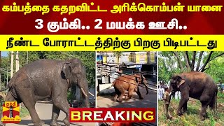 கம்பத்தை கதறவிடும் அரிக்கொம்பன் யானை... 3 கும்கி.. 2 மயக்க ஊசி.. நீண்ட போராட்டத்திற்கு பிறகு..