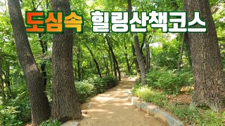 지하철역에서 1분이면 도착하는 도심 숲 트레킹 코스 두 곳 / 봉은사 / 빌딩속 임금님 숲 걷기 / 선정릉