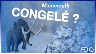 COMMENT CONGELER UN MAMMOUTH ? - Fossiles de ouf #2