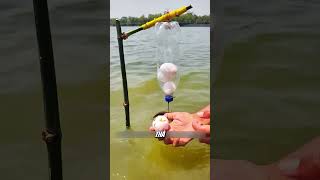 Mồi Trứng Kỳ Lạ Khiến Cá Lao Vào Cắn Câu #fishing