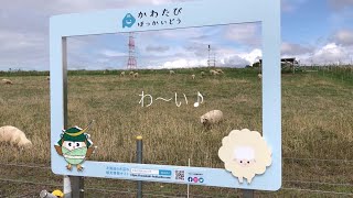 石狩川のひつじ②・帰り道の風景