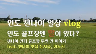 🇮🇳 인도 첸나이 vlog #11 인도 골프장에 말이 있다? 긴디 골프장과 첸나이 맛집 뉴서울, 아노키