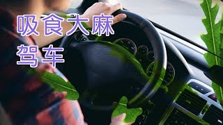 吸食大麻后开车被警察抓了怎么办？|法律讲堂