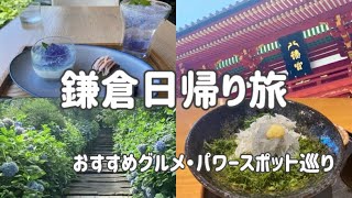 【初夏の鎌倉女ひとり旅】鎌倉/鎌倉グルメ/明月院/鶴岡八幡宮/女ひとり旅/紫陽花