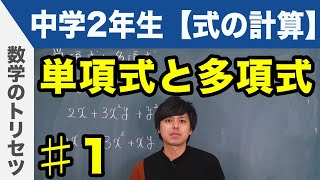 単項式と多項式【中学2年生】数学