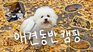 [Vlog] 애견동반 캠핑ㅣ양평수목원ㅣ부부동반 여행ㅣ가을캠핑 ㅣ서울근교 캠핑장 (남편이 쓴 자막)