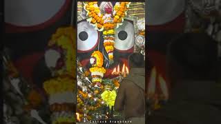 Shree Jagannatha Sandhya Aarti Darshan| Shree Mandir Puri| Cuttack Signature 🚩