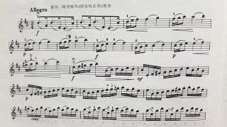 Handel Violin Sonata No.4, 4th Movement:Allegro(con brio) 韓德爾 第四首小提琴奏鳴曲 第四樂章:快板