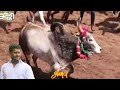 pugaiyilaipatti jallikattu eliyarpathi anbu veerabrothers