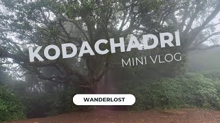 Conquering Kodachadri Hills: A Journey of Wanderlost