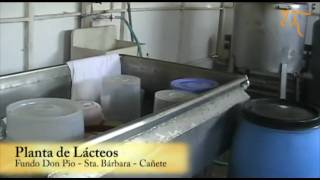 Sala de Ordeño, Planta de Lácteos y Productos elaborados con leche de cabra