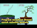 🔴 SIMULASI MEMBUAT BONSAI DARI NOL SAMPAI SETENGAH JADI