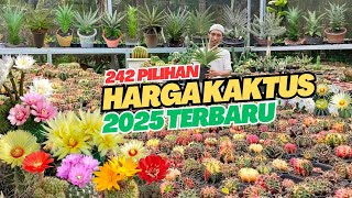 242 JENIS KAKTUS SUKULEN SANSIVERA BESERTA HARGA || UPDATE HARGA KAKTUS TERBARU 2025