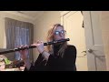 Butterfly Flute Play Along