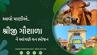 આવો માણીએ શ્રીજી ગૌશાળા ને આંગણે વન ભોજન