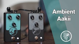 NativeAudio Aakii Chorus/Vibrato and Buffalo Days Reverb - Ambient Aakii.