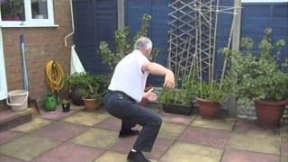 Tai Chi Yang Style Form - Part 3