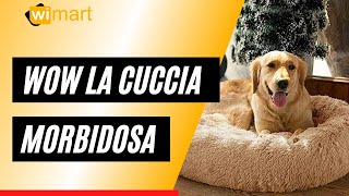 La CUCCIA MORBIDOSA che sta facendo impazzire i CANI - Come funziona?