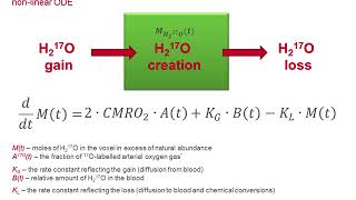 Dmitry Kurzhunov: Quantification of oxygen metabolic rates in Human brain with dynamic 017 MRI