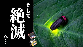 【ゆっくり解説】最近ホタルを見かけない理由がヤバすぎた…