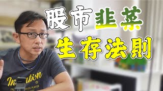 股市韭菜必修課 效率市場假說 | Say涼老爸