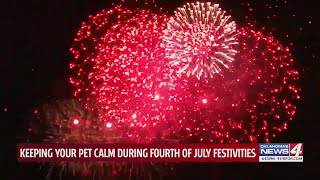 Keeping your pet calm during fourth of July festivities