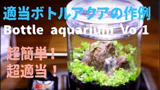 ボトルアクアリウムの作成その1 ~水草植栽 立上げ編~　ミスト式の水草育成で超簡単！超適当！初心者でも簡単です。時間がかかる企画なので続編に続きます。