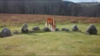 Oiartzungo harrespil batzuk, algunos cromlech de Oiartzun, Gipuzkoa