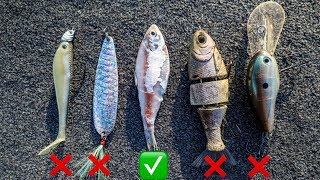 Artificial Lure Vs Real Shad + (but They Look The Exact Same)