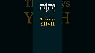 The Meaning of Isaiah (Yeshayahu)