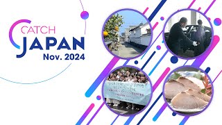 CATCH JAPAN (Nov. 2024)