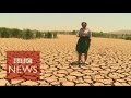 Worst drought in 30 years hits Sout Africa  - BBC News