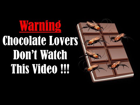 Does chocolate have cockroaches in it?