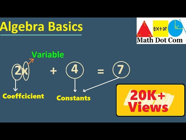 Constants And Variables In Math