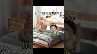 当你对象说明天要早起？ #喵不可言 #funny #cat #猫meme #猫meme小剧场 #shorts #对象