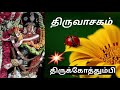 திருக்கோத்தும்பி திருவாசகம் thirukothumpi thiruvaasagam