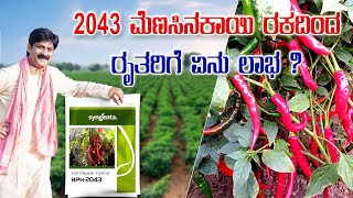 2043 ಮೆಣಸಿನಕಾಯಿ ರಕದಿಂದ ರೈತರಿಗೆ ಏನು ಲಾಭ..? -  #reels #educational #information #chilliseeds   #reels