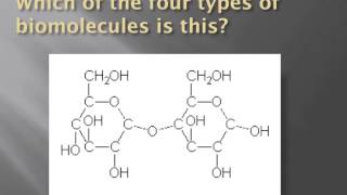 How to identify biomolecules structurally
