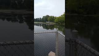 Balsam Branch Pond. Balsam Lake Wi. #Lake #fishing #nature #wisconsin