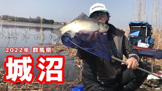 巨べら釣り ハタキ直前を仕留めろ！ｸｩｰ！【群馬県 城沼】