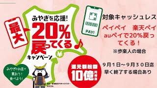 宮城　仙台　キャッシュレス決済　対象店舗　対象