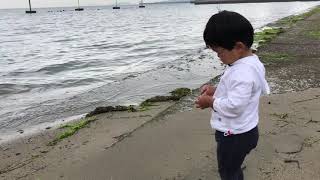 子供英会話バイリンガルボーイAlan(2歳6ヶ月）海大好き！Playing at the beach!