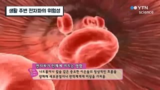 생활 주변 전자파의 위험성 / YTN 사이언스