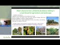 xylella fastidiosa workshop from diagnosis to management session 3 august 18