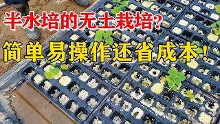 水里种菜很复杂吗？看看我们的方法，看一遍就能学会【付老师种植技术团队官方频道】