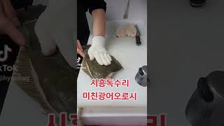 시흥독수리 광어오로시 폼 미쳤네