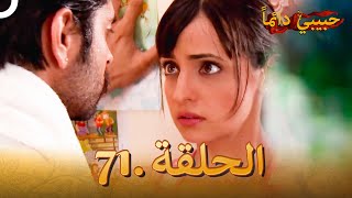 حبيبي دائماً الحلقة 71