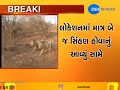 eight lions missing from mitiyala zoo zee24kalak